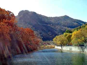 新澳天天开奖资料大全旅游团，酒驾事故